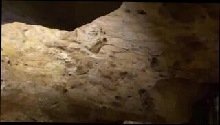 Video 1573539783: gina gerson, hot solo model, skinny model, solo fetish play, amateur fetish sex, hot skinny blonde amateur, skinny ass blonde, hot pornstar fetish, amateur solo female, model celebrity, skinny blonde small, model behind, solo female public, solo outside, ass tities, 60fps amateur