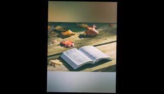 Video 1607941793: anal bukkake orgy, lesbian anal orgy, amateur lesbian orgy, solo lesbian, solo amateur cumshot, solo male cumshot, bukkake blowjob