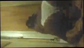 Video 75382301: amateur facesitting, ebony facesitting, black facesitting, straight black amateur, amateur shakes