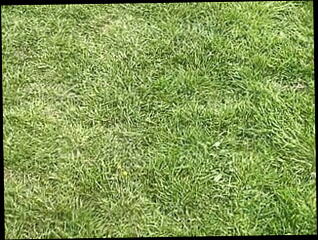 Video 1604923121: big uncut cock bareback, interracial bareback anal, interracial gay bareback, amateur interracial bareback, fetish bareback, amateur wife interracial anal, latino gay bareback anal, daddy big uncut cock, big dick daddy bareback, gay latino outdoor bareback, gay latino men bareback, uncut daddy bear, uncut british cock, uncut husband, uncut cock public, guys uncut cock, bareback married, bareback car, hd uncut, man wife